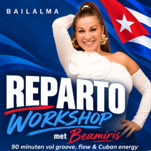 Reparto workshop met Beamiris | 22 november | Breda